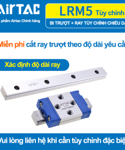 Con trượt vuông mini tiêu chuẩn LRM5BKNH ( MGN5C  )