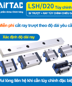 Con trượt vuông cao tải bản rộng tiêu chuẩn LSH20BK-F2N-N-E-M6 ( HGW20CB gá dưới )