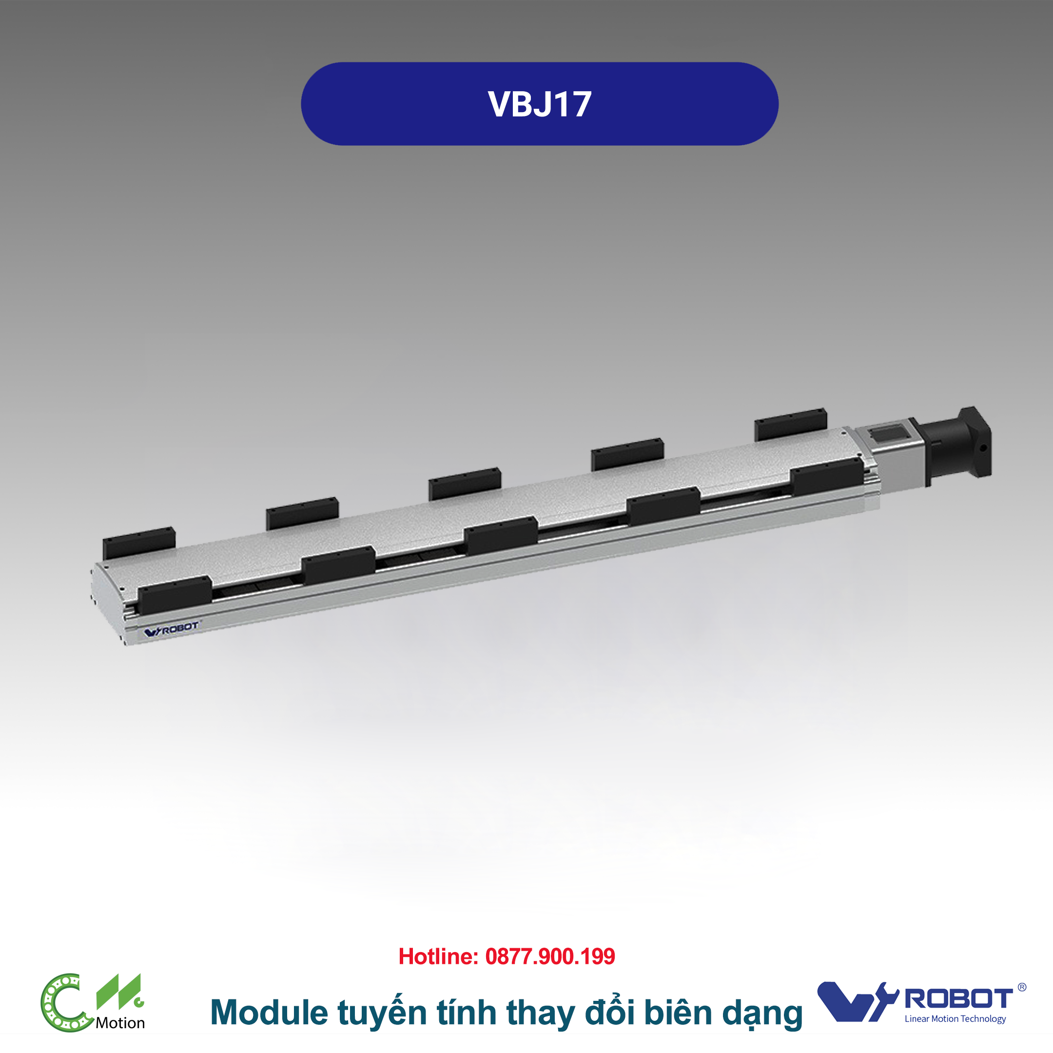 VBJ17 Module truyền động tuyến tính thanh răng Dòng VBJ (Đa chuyển động, Có thể tùy chỉnh)