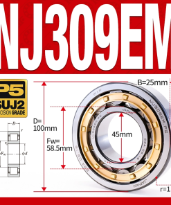 Vòng bi đũa - bạc đạn đũa trụ NJ309EM (Chặn trục 1 chiều - lồng cách bi Đồng - kt 5*100*25 mm)