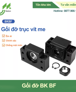 Gối đỡ trục vít me BF
