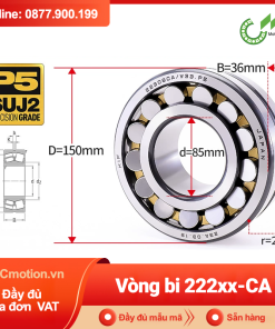 Vòng bi cà na tự lựa 2 dãy lồng bi thép 222xx-CC