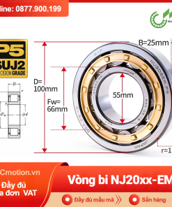 Vòng bi đũa - bạc đạn đũa trụ NJ22xx